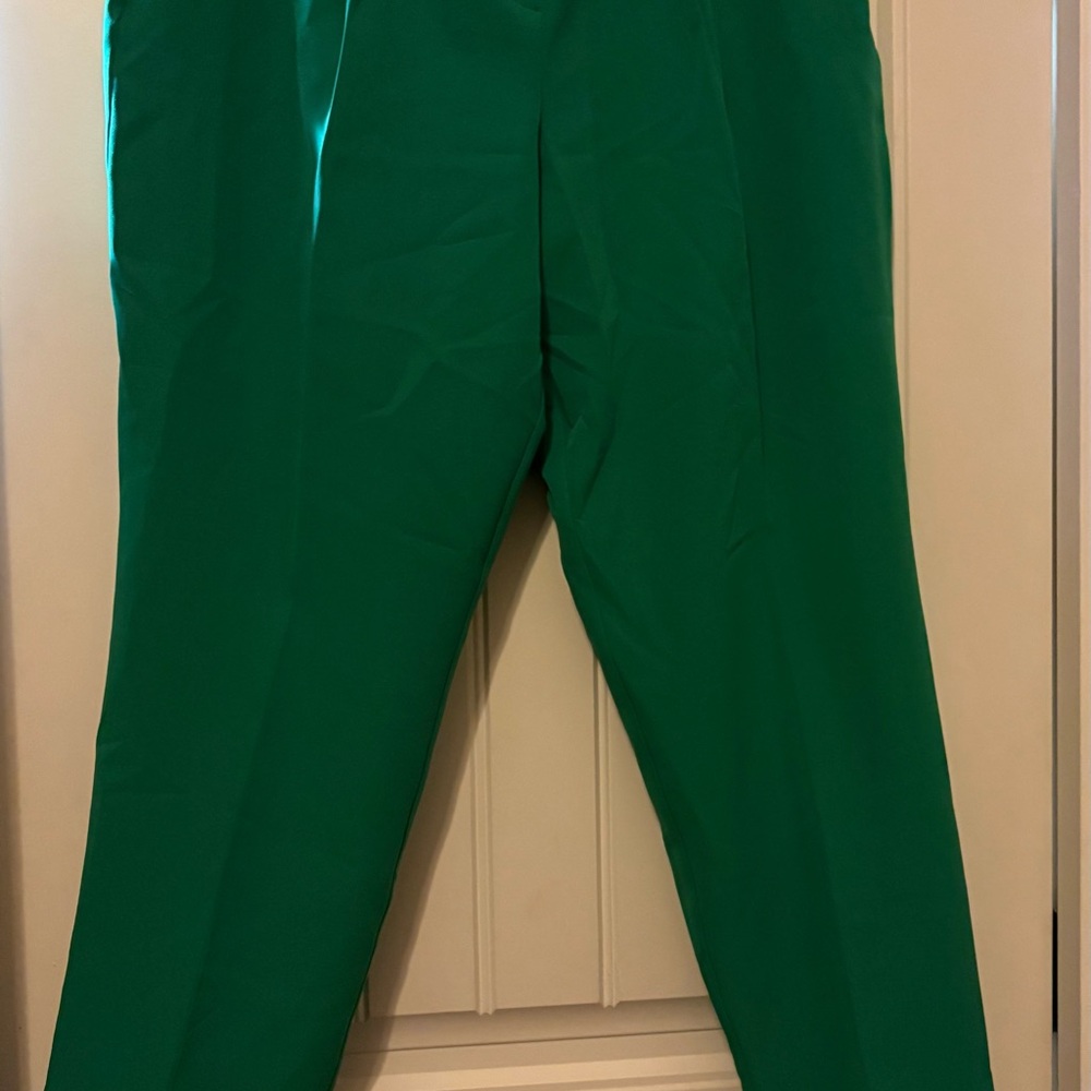 New York & Company Women's Green Trousers